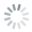 Loading Icon
